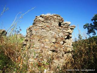 n Michele Forza Agro-31-08-2015 09-14-26